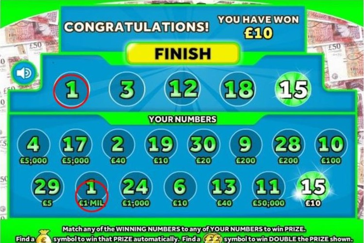 Winning Lottery Player Sues Camelot And Loses